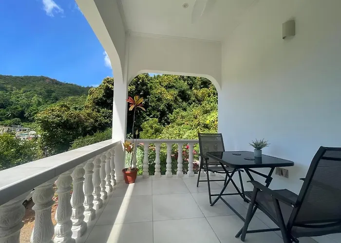 Alilo * Victoria